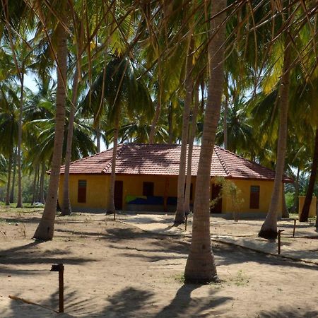 Kitelantis Hotel And Resort Kalpitiya Rum bild
