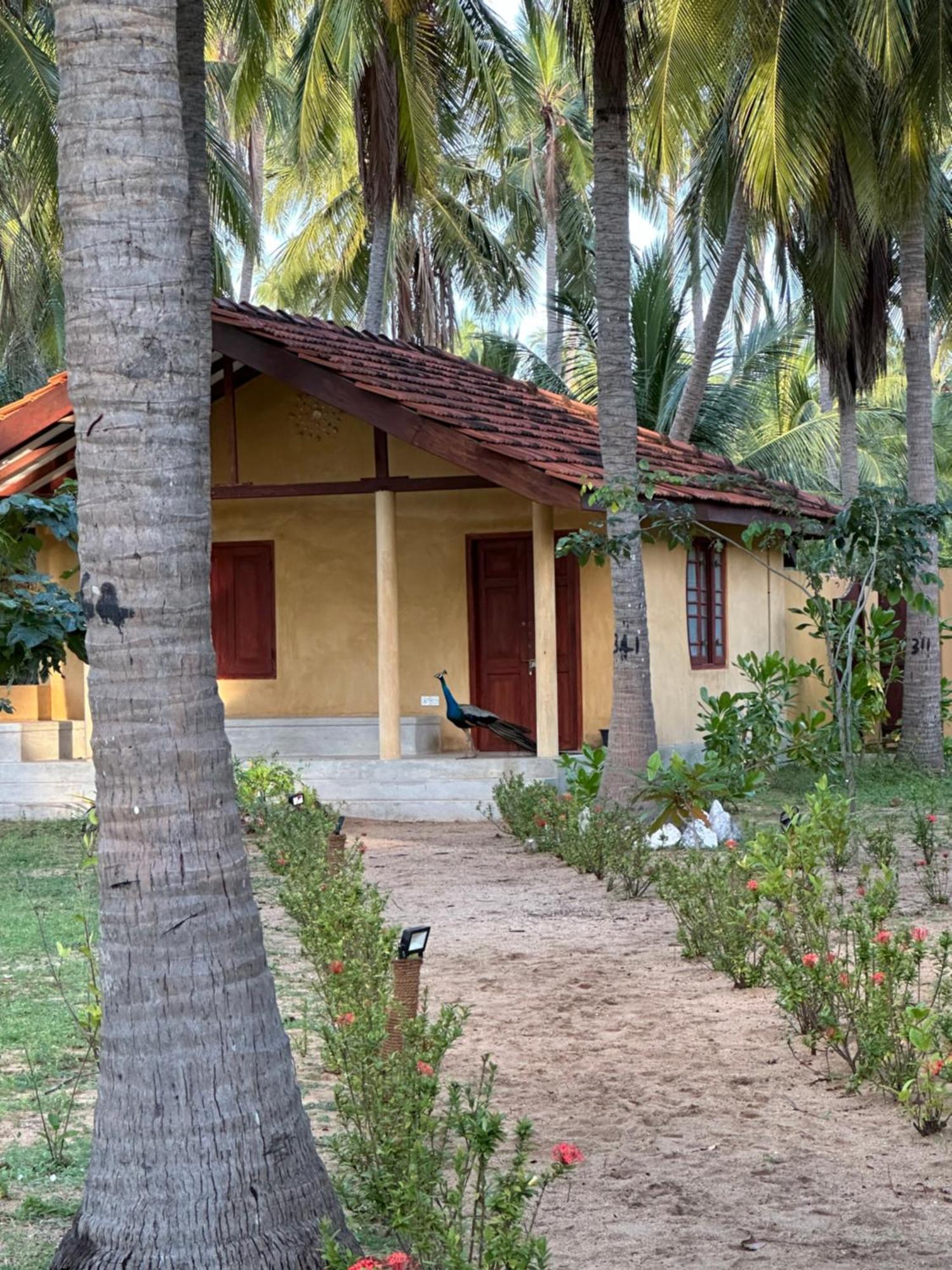 Kitelantis Hotel And Resort Kalpitiya Exteriör bild