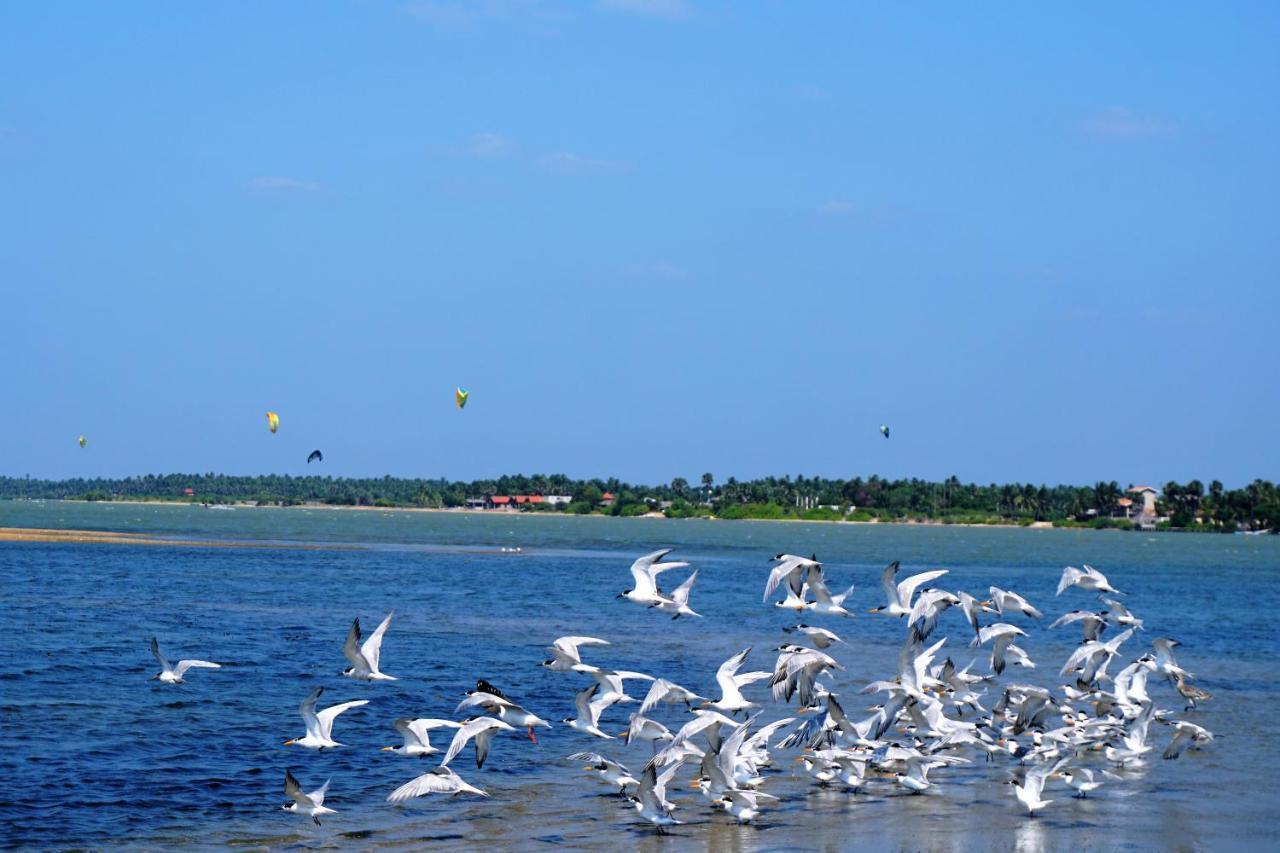 Kitelantis Hotel And Resort Kalpitiya Exteriör bild